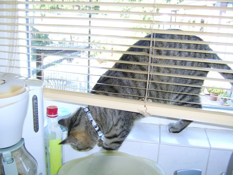 02 Helpen met koken.JPG